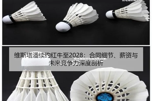 wei-si-ta-pan-xu-yue-hong-niu-zhi-he-tong-xi-jie-xin-zi-yu-wei-lai-jing-zheng-li-shen-du-pou-xi-2-878.jpg